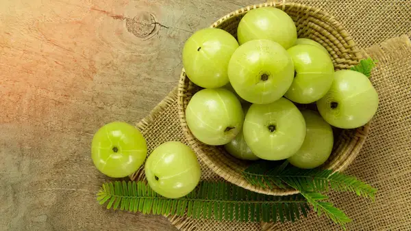 পত্রিকা
