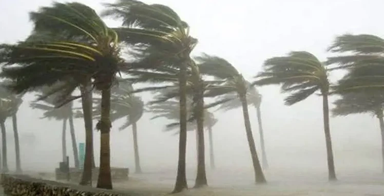 পত্রিকা