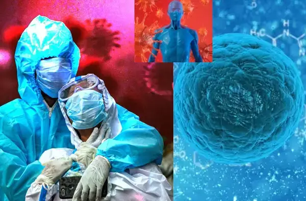 পত্রিকা