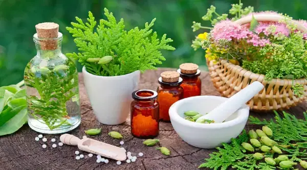 প্রকৃতির পাতায় লেখা চিকিৎসার গোপন ফর্মুলা