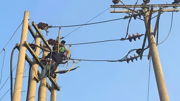 পত্রিকা