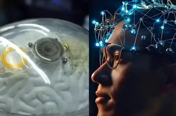 পত্রিকা