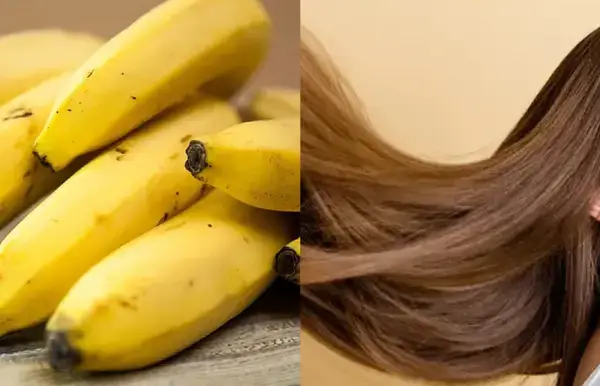 পত্রিকা