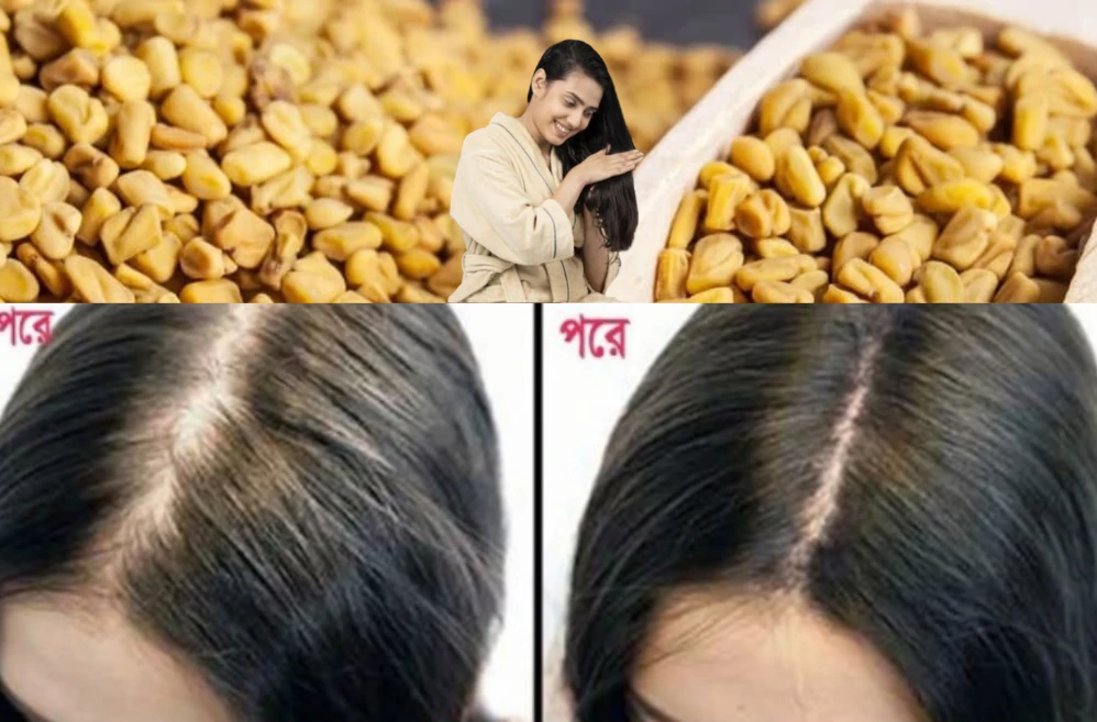 পত্রিকা