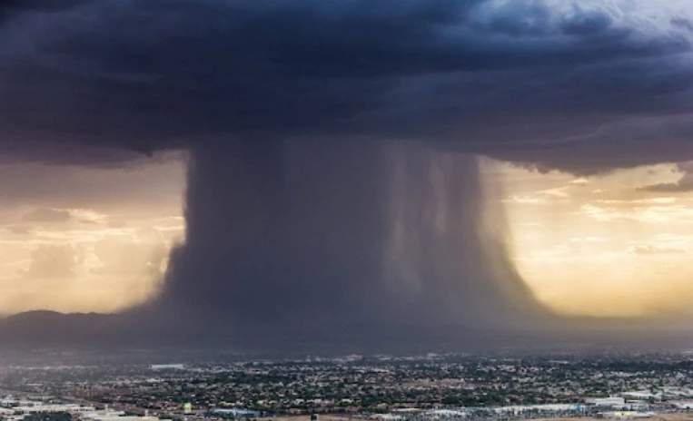 পত্রিকা