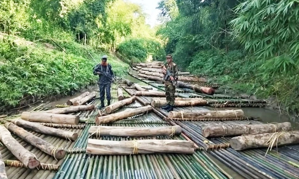 পত্রিকা