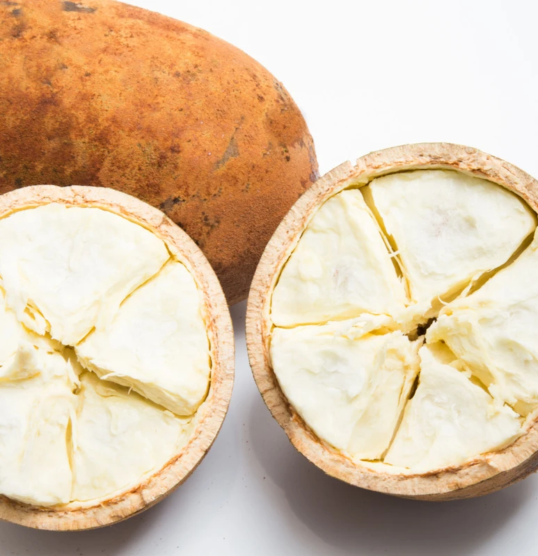 পত্রিকা