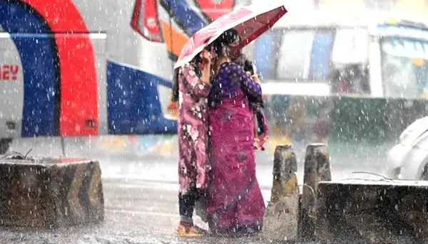 পত্রিকা
