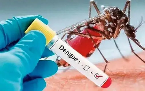 ডেঙ্গুতে গত ২৪ ঘণ্টায় ১২ জনের মৃত্যু, আক্রান্ত ৭৪০