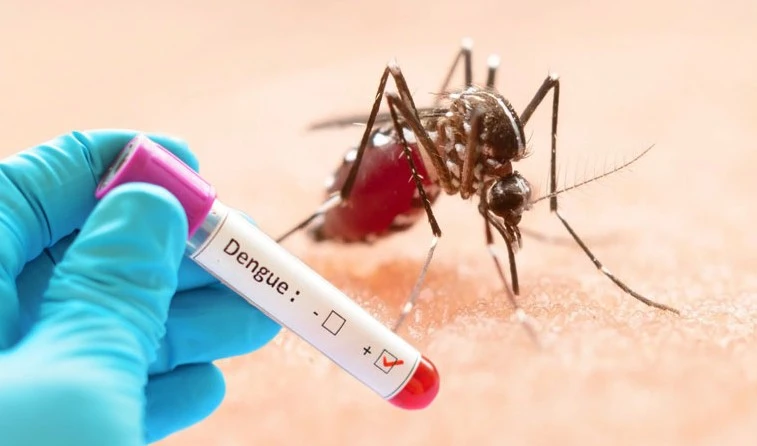 সারাদেশে ডেঙ্গুতে মৃত্যু 'শূন্য'; হাসপাতালে নতুন ভর্তি ৪১০