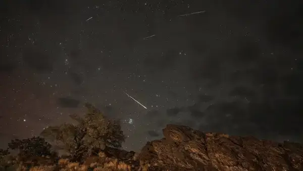 পত্রিকা