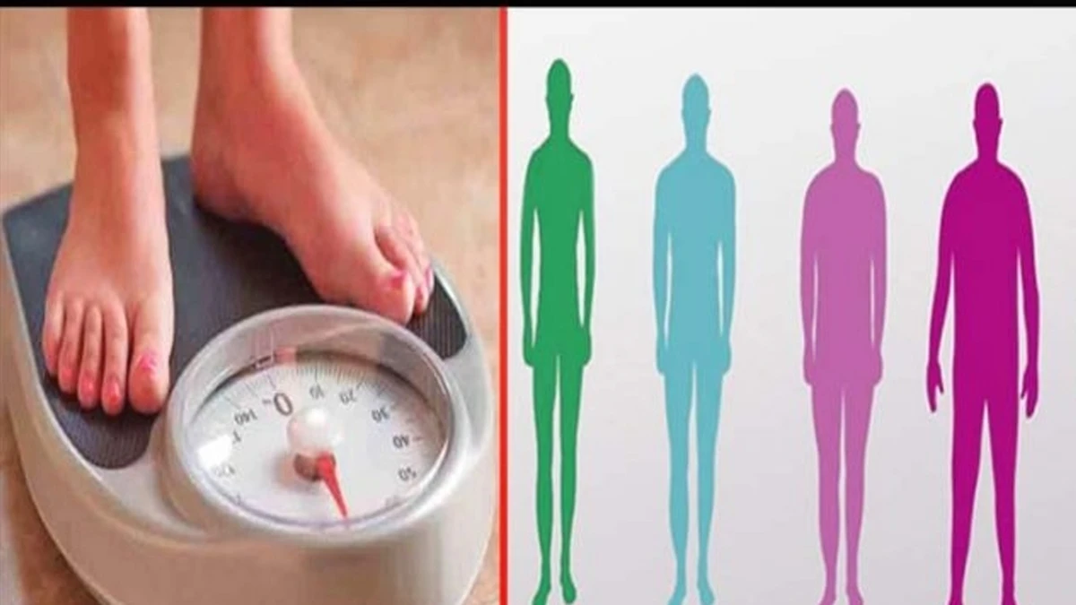 পত্রিকা