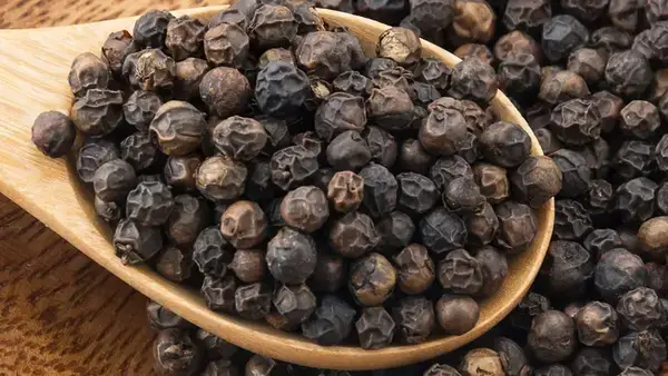 পত্রিকা