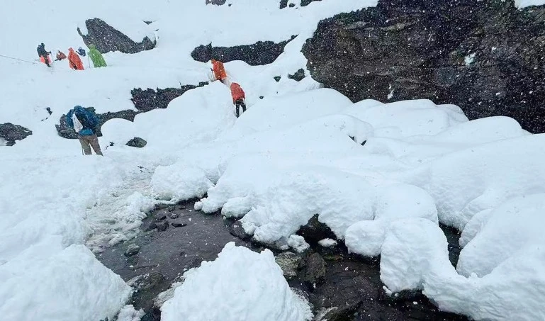 পত্রিকা