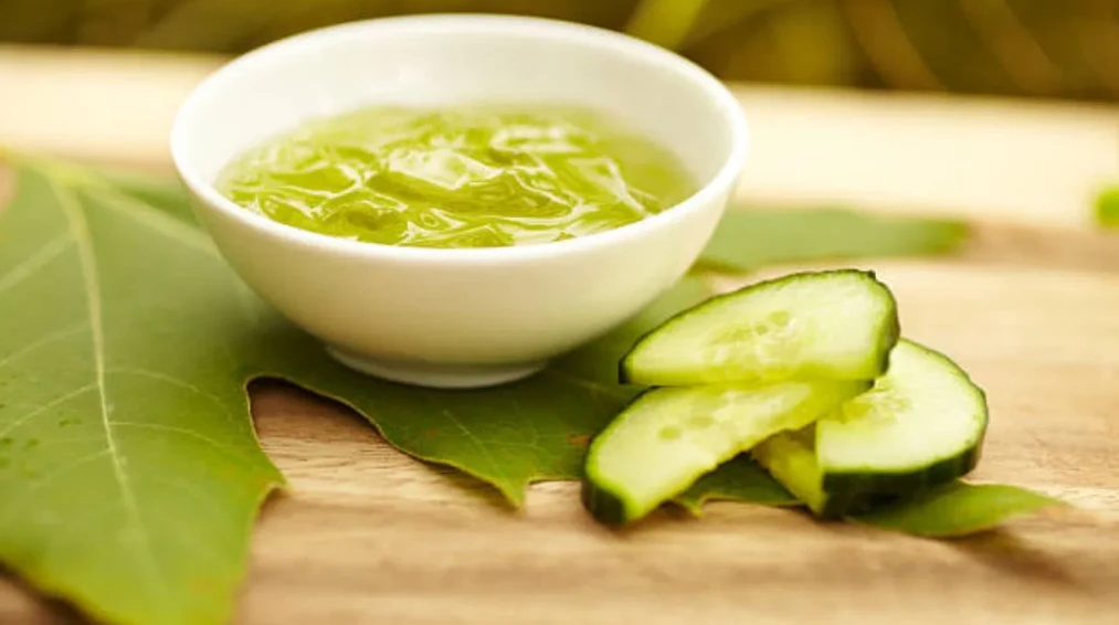 পত্রিকা