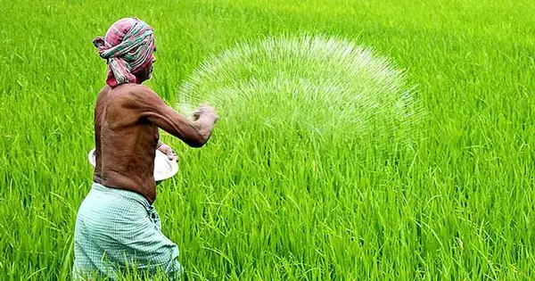 পত্রিকা