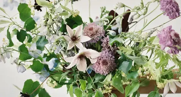 পত্রিকা