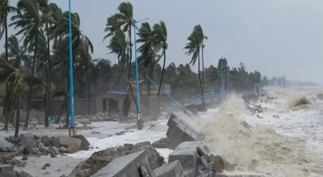 পত্রিকা