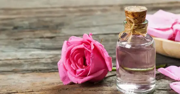 ঘ্রাণের রাজ্যে গোলাপের শাসন - সুগন্ধির নবযুগের সূচনা!