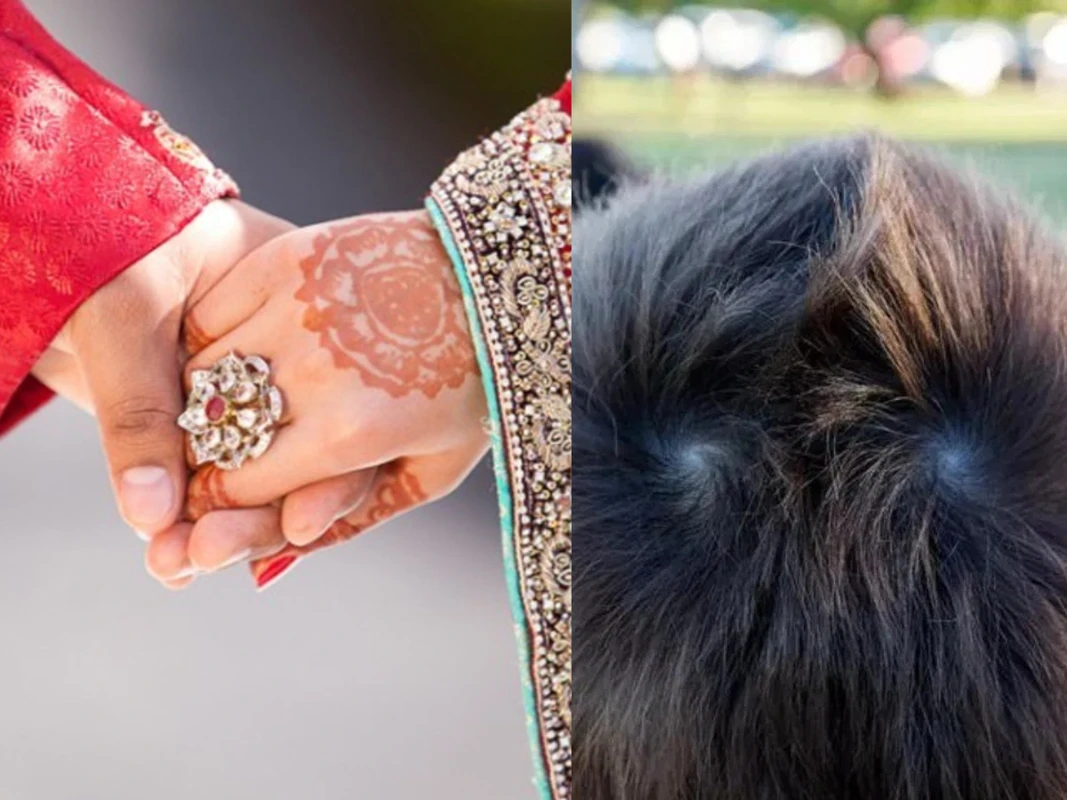 পত্রিকা