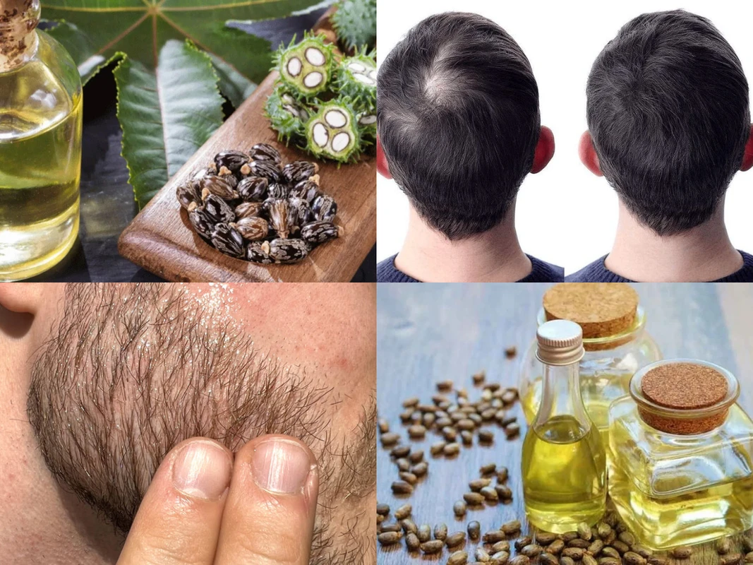 পত্রিকা