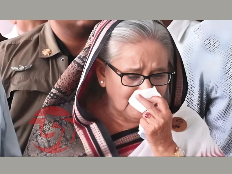 পত্রিকা