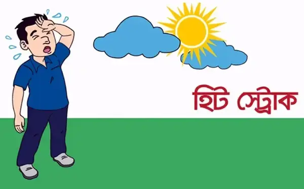পত্রিকা