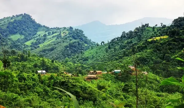 পত্রিকা