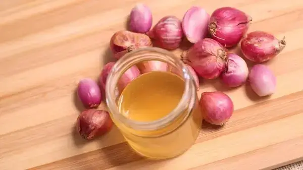 পত্রিকা