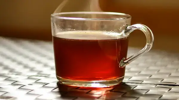 পত্রিকা