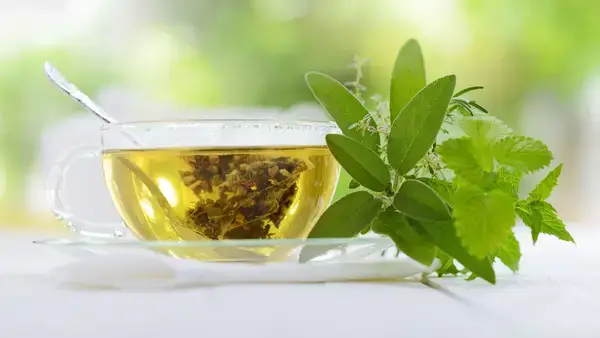 পত্রিকা