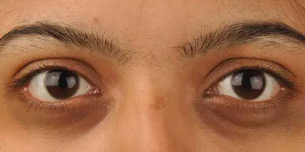 পত্রিকা