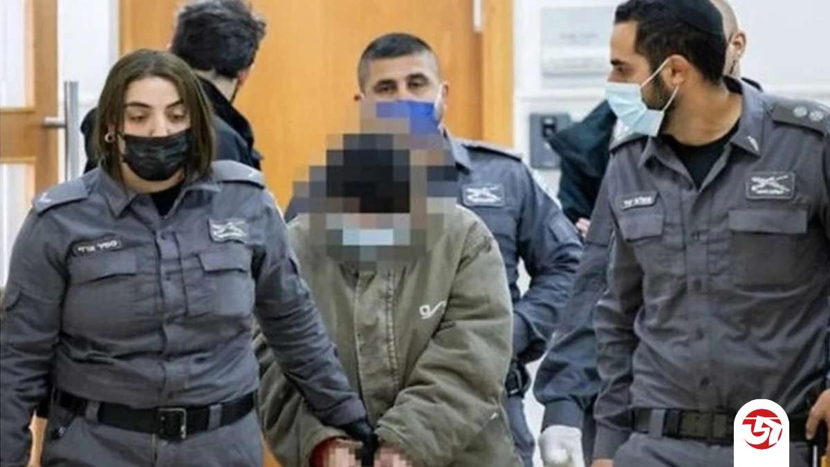 পত্রিকা