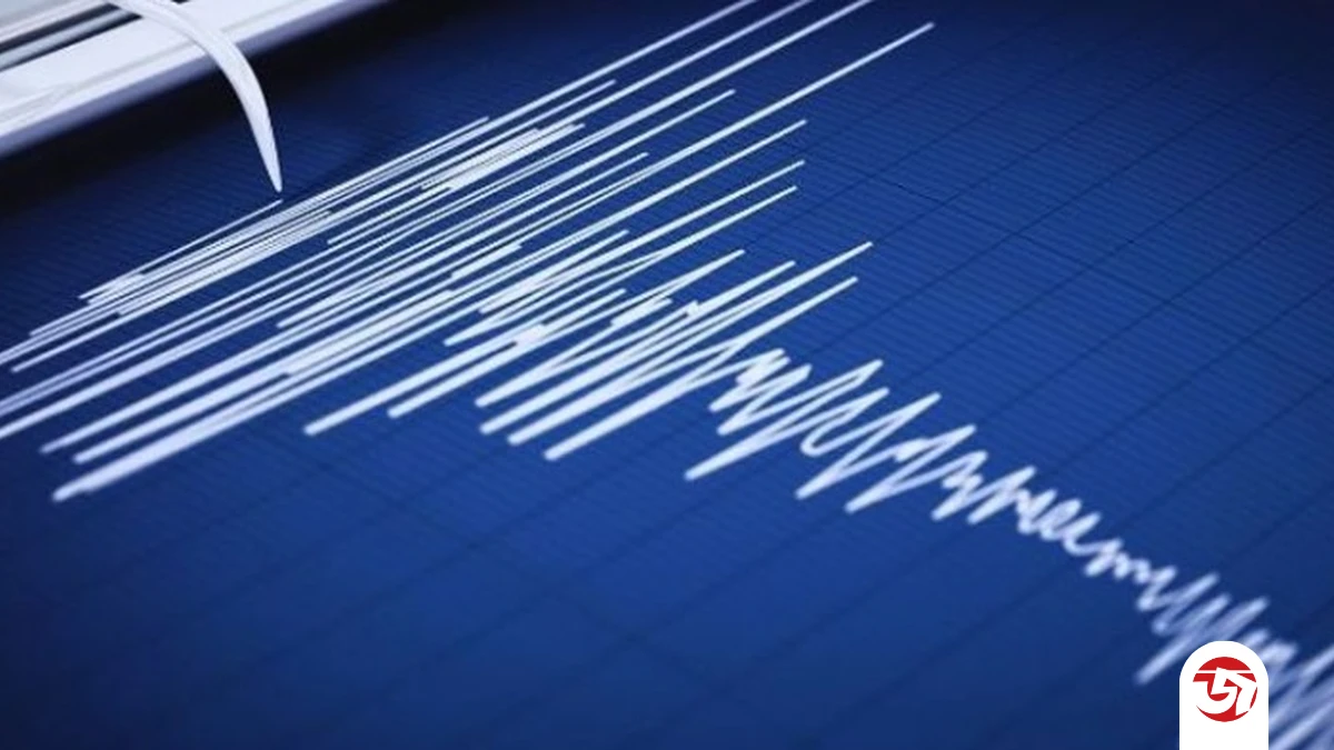 পত্রিকা