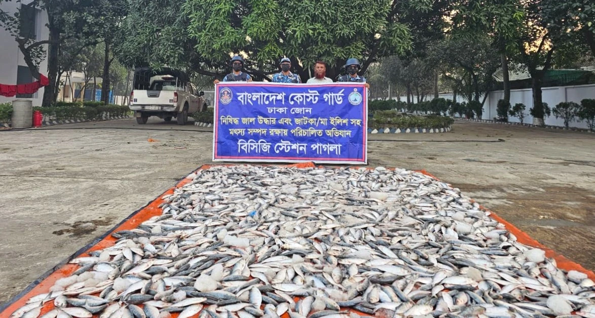 নারায়ণগঞ্জে কোস্ট গার্ডের অভিযানে ১০ লক্ষ টাকা মূল্যের জাটকা জব্দ