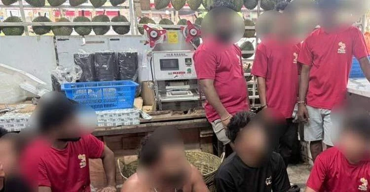 পত্রিকা