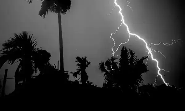 পত্রিকা