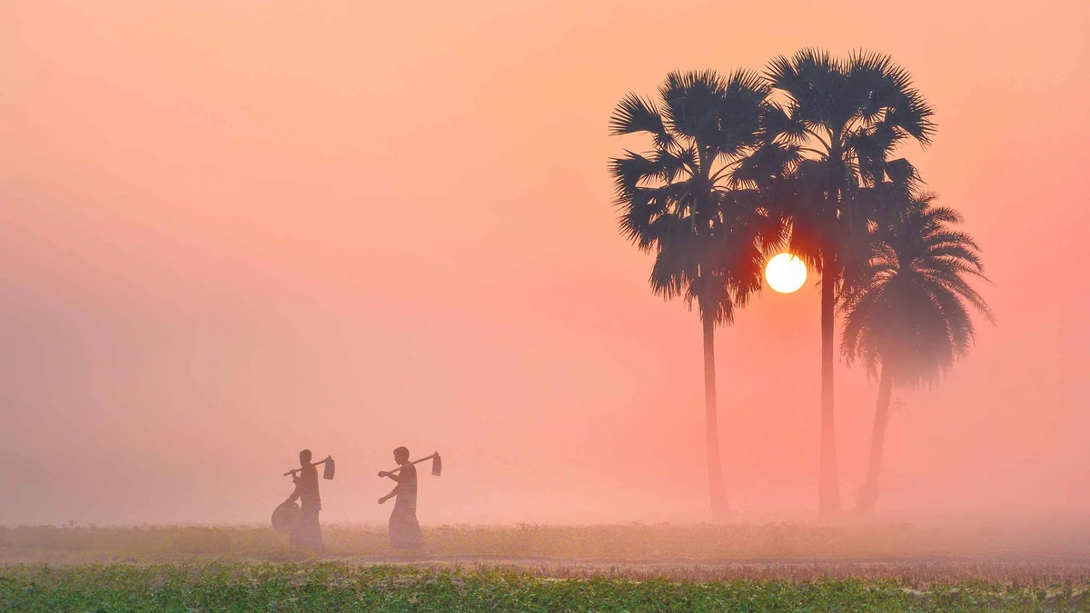 শীতের কুয়াশা কি পানির সমাধান হতে পারে?
