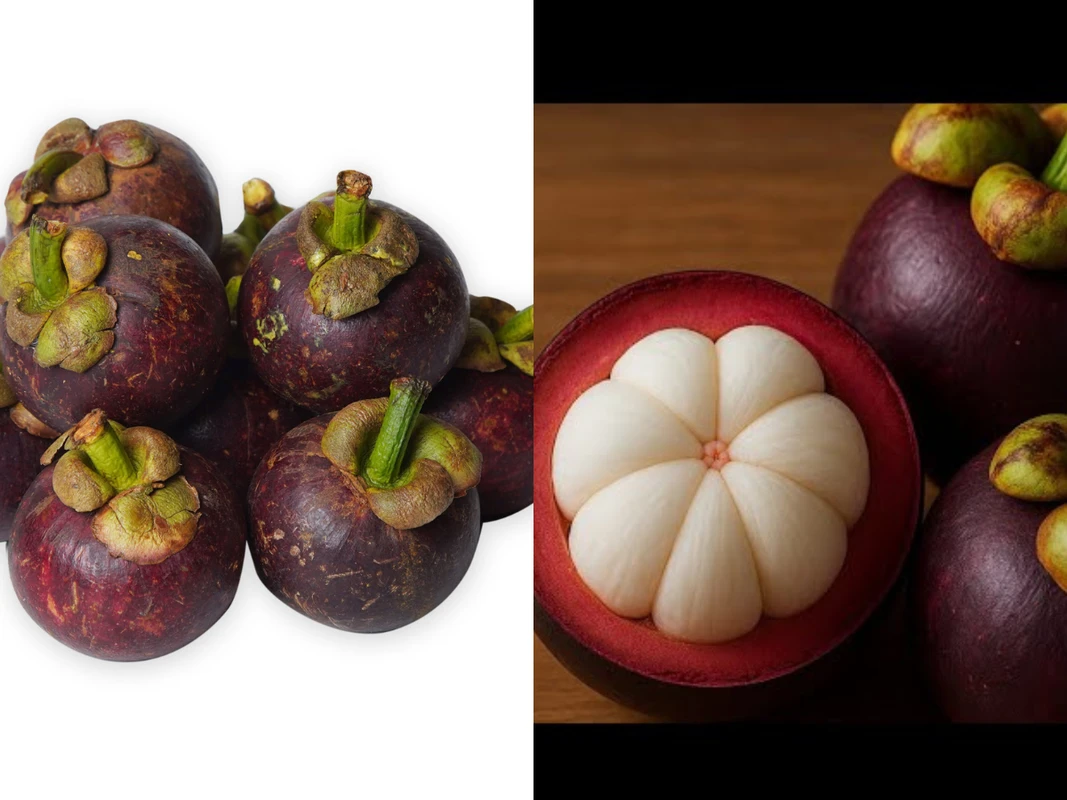 ত্বক উজ্জ্বল করতে চাই? রোগ প্রতিরোধ শক্তি বাড়াতে চাই? ট্রাই করুন ম্যাংগোস্টিন!