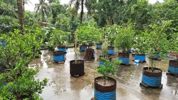 পত্রিকা