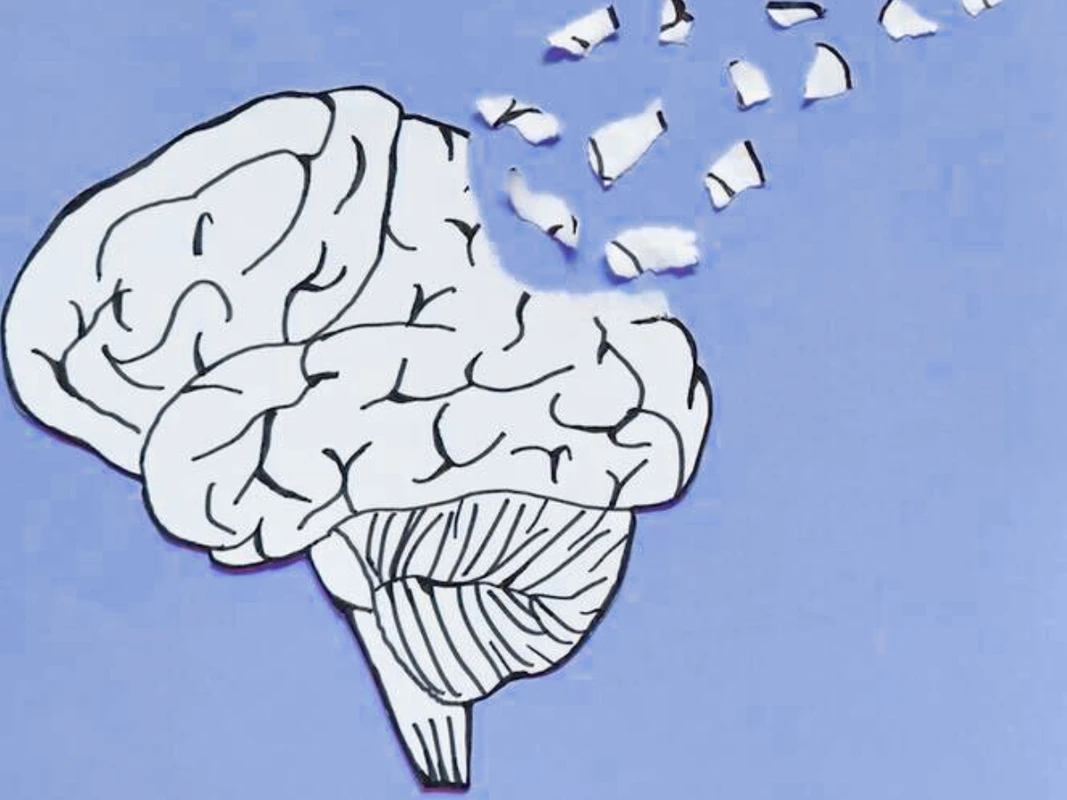 পত্রিকা