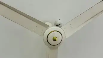 পত্রিকা