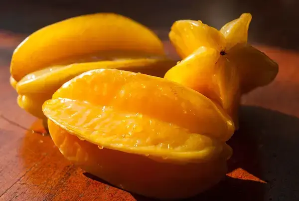 পত্রিকা