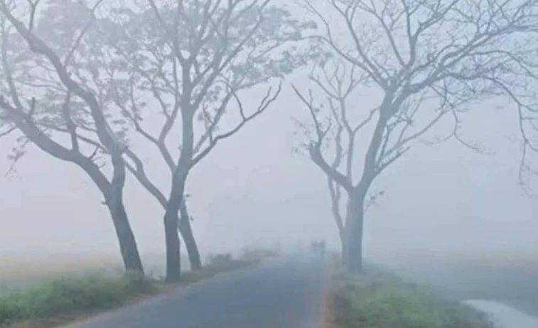 শীত বাড়ছে পঞ্চগড়ে, তাপমাত্রা নেমেছে ১২ ডিগ্রিতে