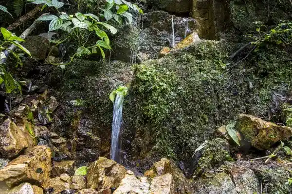 পত্রিকা