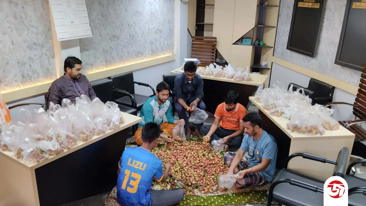 রাবিতে হলের গাছ থেকে লিচু পেড়ে রুমে রুমে পৌঁছে দিলেন হল সংসদের নেতারা