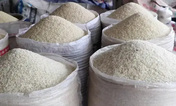 পত্রিকা