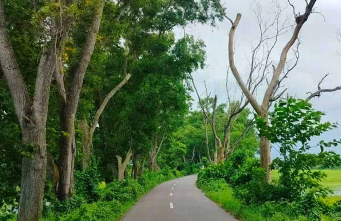 পত্রিকা