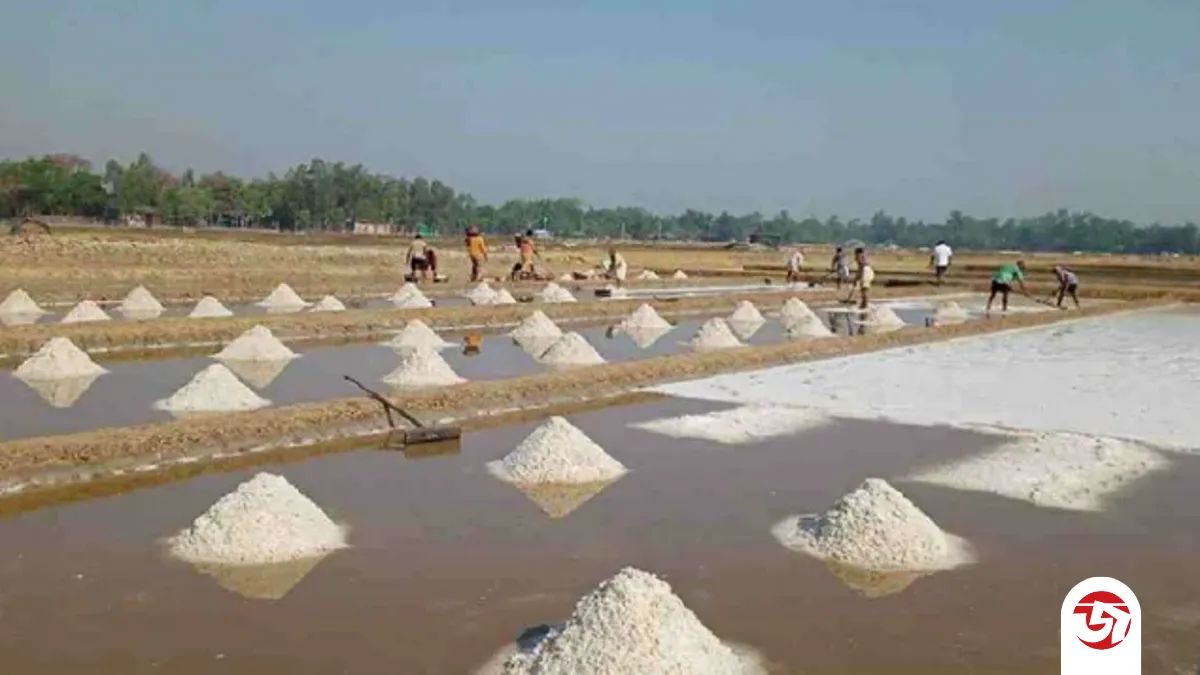 দেশের লবণ চাহিদার ১৬ শতাংশ এসেছে বিসিকের সরবরাহে