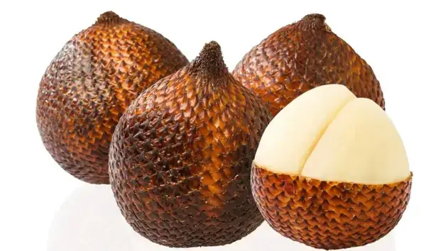 পত্রিকা